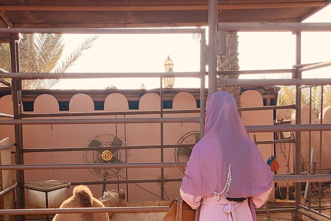 Private - Abu Dhabi Half Day City Tour - Guide and transport details that make or break the experience