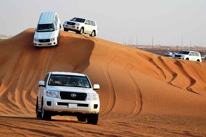 Private Adventure Red Dune Desert Safari With BBQ Dinner & Shows - Key things I’d bet on (before you book)
