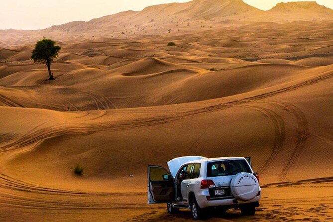 Private Desert Excursion with camel ride Sandboard & BBQ Dinner - Pickup and comfort: how the SUV transport affects the day