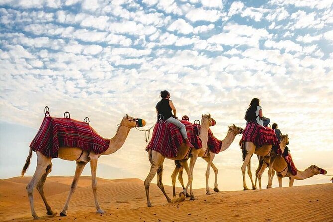 Private Desert Excursion with camel ride Sandboard & BBQ Dinner - Guide experience matters: punctual, helpful, and photo-friendly