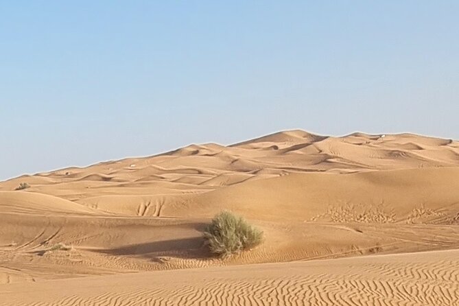 Private Desert Safari in Dubai with Pickup - Price and Value: Is $199.56 Fair for a Private 4-Hour Safari?