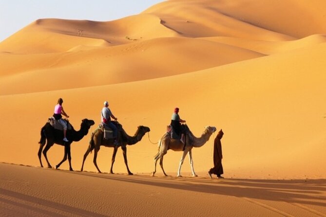 Private Desert Safari in Dubai with Pickup - Getting From Dubai to the Dunes Without Losing Your Day
