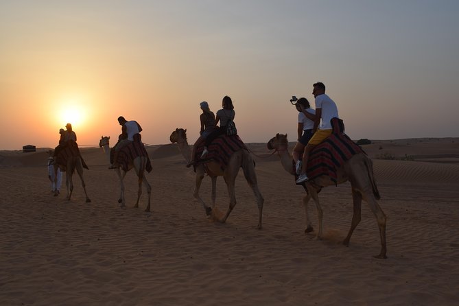 Private Desert Safari Red Dune with BBQ, Sand Boarding and Camel Ride - Camels at the Farm, Then a Proper Camel Ride