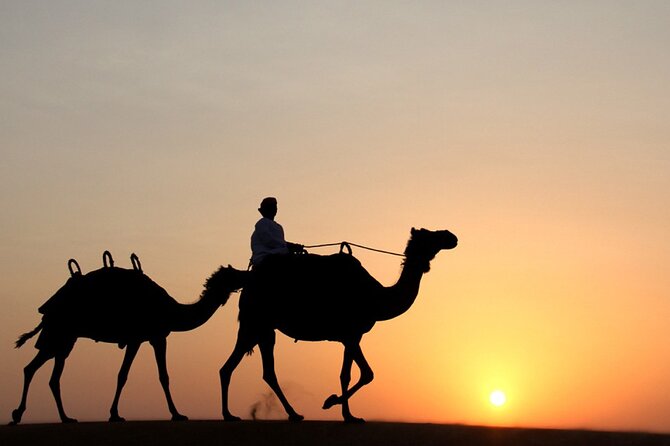 Private Desert Safari Tour in Dubai - Key highlights worth knowing before you go