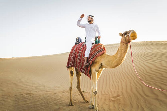 Private Desert Safari Tour in Dubai - Desert 4x4 and dune bashing: the thrill part, with real-world safety in mind