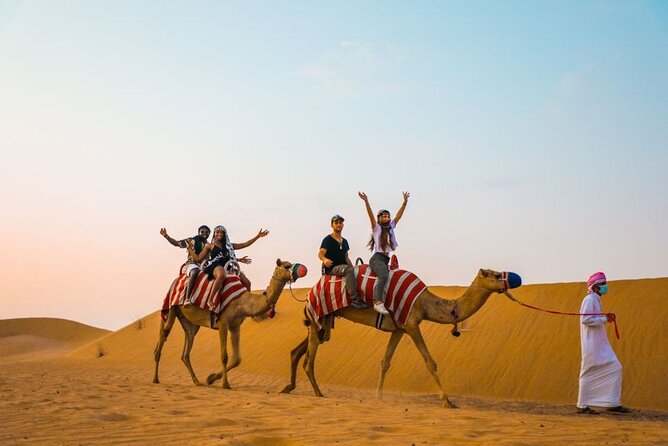 Private Desert Safari With BBQ Buffet Dinner And Live Shows - Why this Abu Dhabi desert safari feels more controlled