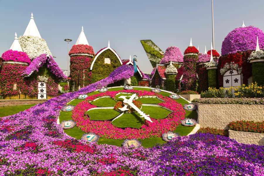 Private Dubai Frame & Miracle Garden Trip with Transfer - Key things that make this trip worth your time