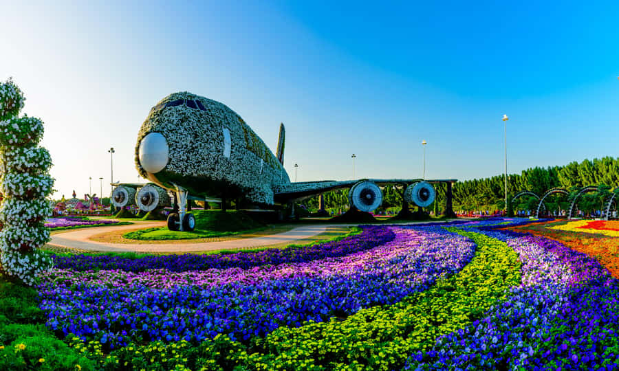 Private Dubai Frame & Miracle Garden Trip with Transfer - Timing: what 5-8 hours really feels like on your day
