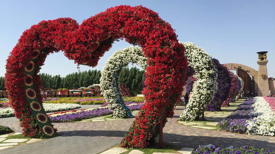 Private Dubai Frame & Miracle Garden Trip with Transfer - Price and value: is $105 per person a fair deal?