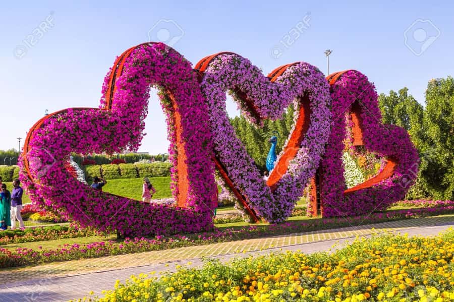Private Dubai Frame & Miracle Garden Trip with Transfer - Practical tips that keep the day smooth