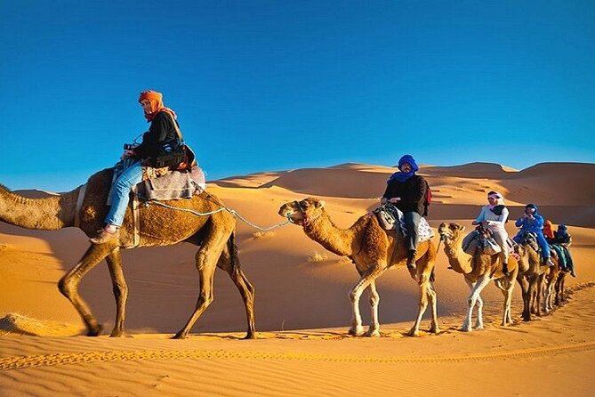 Private Evening Desert Safari with BBQ Dinner Dubai - Should you book it?