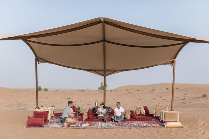 Private Falconry Experience and Nature Desert Safari in Dubai - Who This Private Falconry and Desert Safari Best Fits