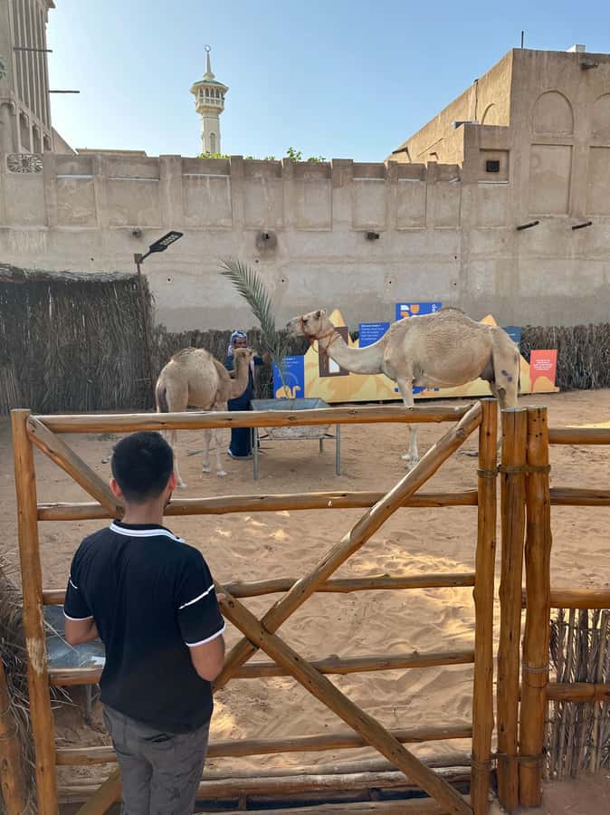 Private Food Tour – 12 Tastings with Locals - Why this private Old Dubai tasting tour feels more real than a food list