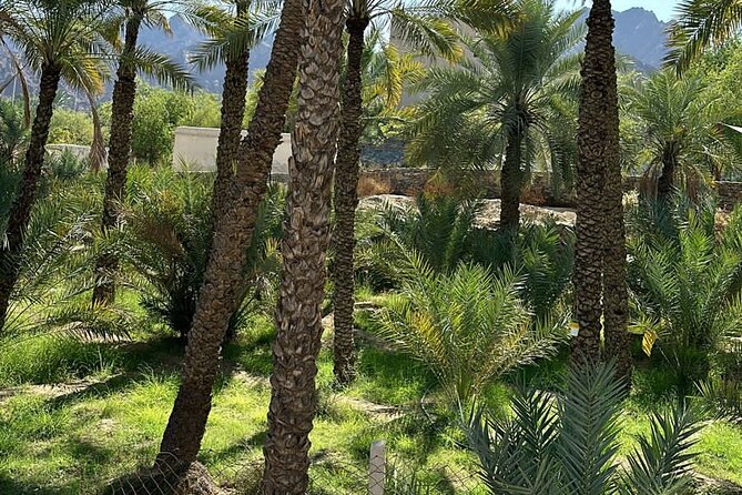 Private Full Day Hatta Visit Dam Heritage Village Lake - Hatta Hill Park: picnic vibes, running paths, and a tower viewpoint
