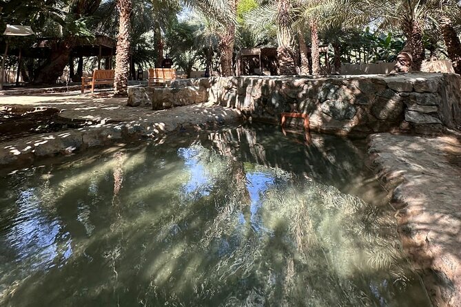Private Full Day Hatta Visit Dam Heritage Village Lake - Swan Lake Bridge: a bird-focused break that stays easy