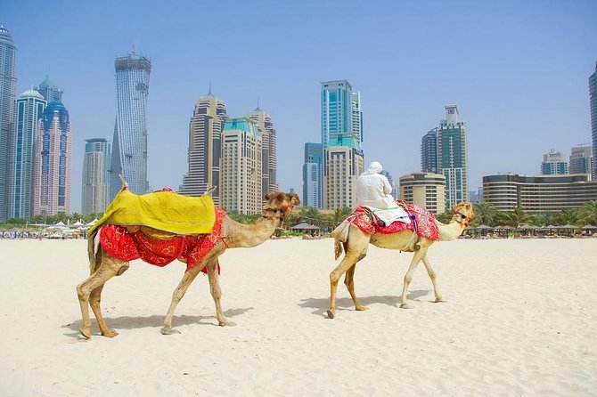 Private Half Day Modern Dubai City tour with Lunch - Lunch on the tour: included, but confirm what that means for you