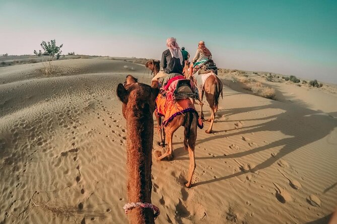 Private Morning Desert Safari with Camel Ride & Sandboarding - Dune Bashing (About 35 Minutes): The Real Adrenaline Section