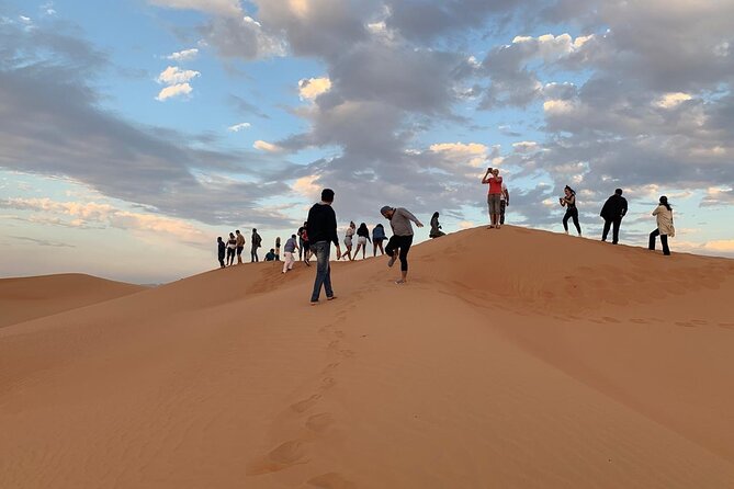 Private Morning Desert Safari with Camel Ride & Sandboarding - Sandboarding and Photo Stops: Slide Time in the Golden Light