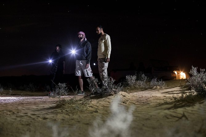 Private Night Vintage Land Rover Desert Safari & Stargazing - Who This Private Night Safari Suits Best