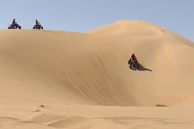 Private Quad Bike Tour through Deep Desert in Dubai - Following your guide through dunes and camel-farm areas