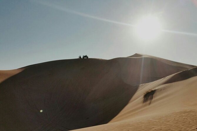 Private Quad Bike Tour through Deep Desert in Dubai - Price and value: what $90 really buys you