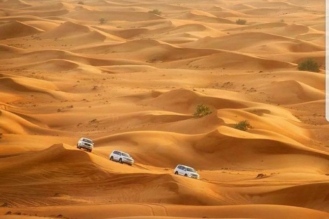 Private Red Dunes Desert Safari Dubai - Dune bashing in a 4x4: the thrill, the rules, the comfort tips
