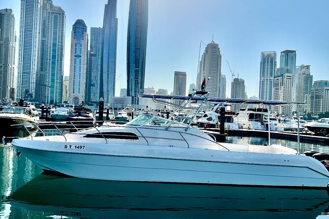 Private Small-Group Dubai Marina Boat Tour - The Speedboat Ride: Speed, Chops, and Sea-Sickness Help