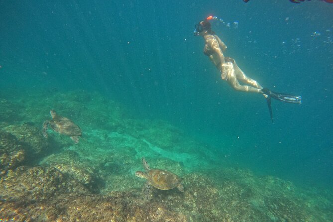 Private Snorkeling with turtles with BBQ food - Your Guide and Gear: Built for First-Timers
