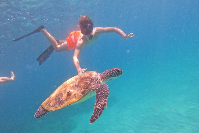Private Snorkeling with turtles with BBQ food - Turtle Time: How the 2-Hour Water Session Works