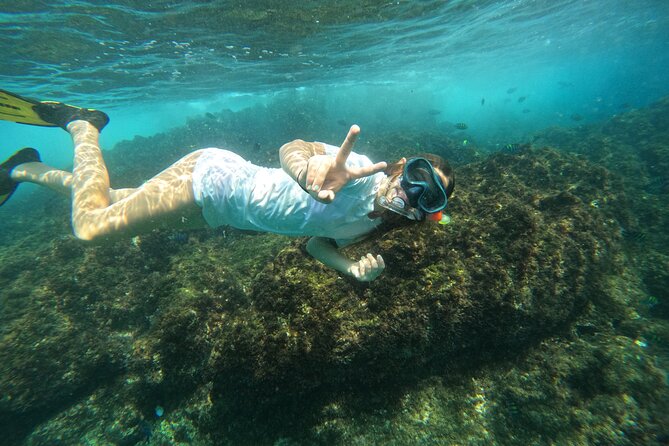 Private Snorkeling with turtles with BBQ food - Facilities That Make Snorkeling Feel Normal Again