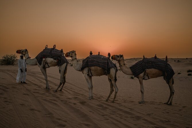 Private Sunset Desert Safari:SandSurfing, Camel Ride & BBQ dinner - Key highlights at a glance