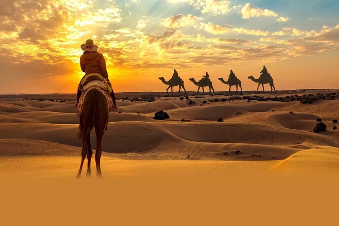 Private Tour at Desert Safari With Camel Ride & BBQ Dinner - Pickup to camel farms, what that first hour actually feels like