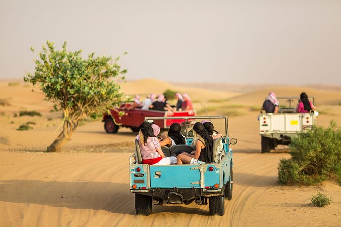 Private Vintage Land Rover Heritage Desert Safari- 4 Course Dinner & Activities - Falconry at sunset: the 30-minute moment you plan around