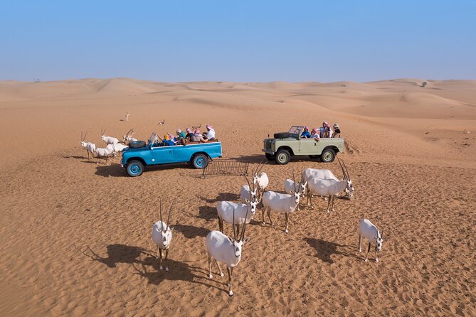 Private Vintage Land Rover Heritage Desert Safari- 4 Course Dinner & Activities - Guides and the difference good guiding makes