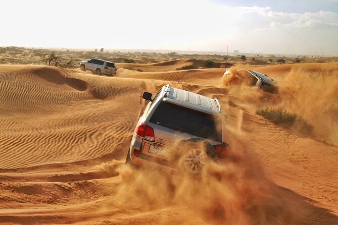 RAK Desert Safari and BBQ Dinner with RAK pick up - Key Points You Should Know Before You Go