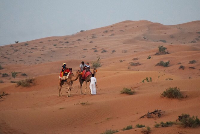 RAK Desert Safari and BBQ Dinner with RAK pick up - The Big Moment: 4x4 Dune Bashing (And Why It’s the Point)