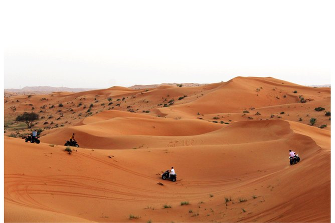 RAK Quad Bike Tour with Return Transfer - Bedouin Oasis Camp, camel rides and sandboarding reality check