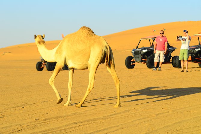Ras Al Khaimah: Afternoon Desert Safari and BBQ Dinner - Dance performances: Tanoura folk dance and belly dancing