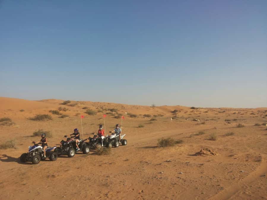 Ras Al Khaimah: Guided Quad Bike Tour - Sandboarding and camel riding at the Oasis