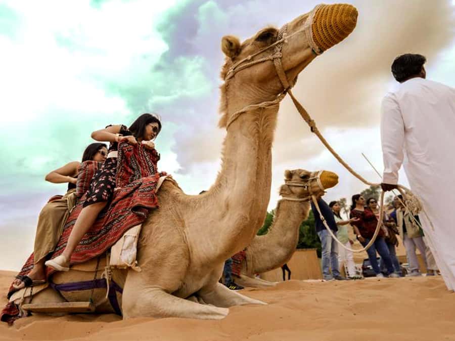 Ras Al Khaimah: Guided Quad Bike Tour - Who should book, and who should not