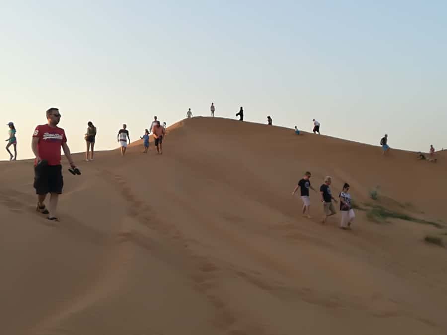 Ras Al Khaimah: Half-Day Desert Safari with Dinner - Hotel Pickup, Sunset Stops, and the 4WD Dune Drive