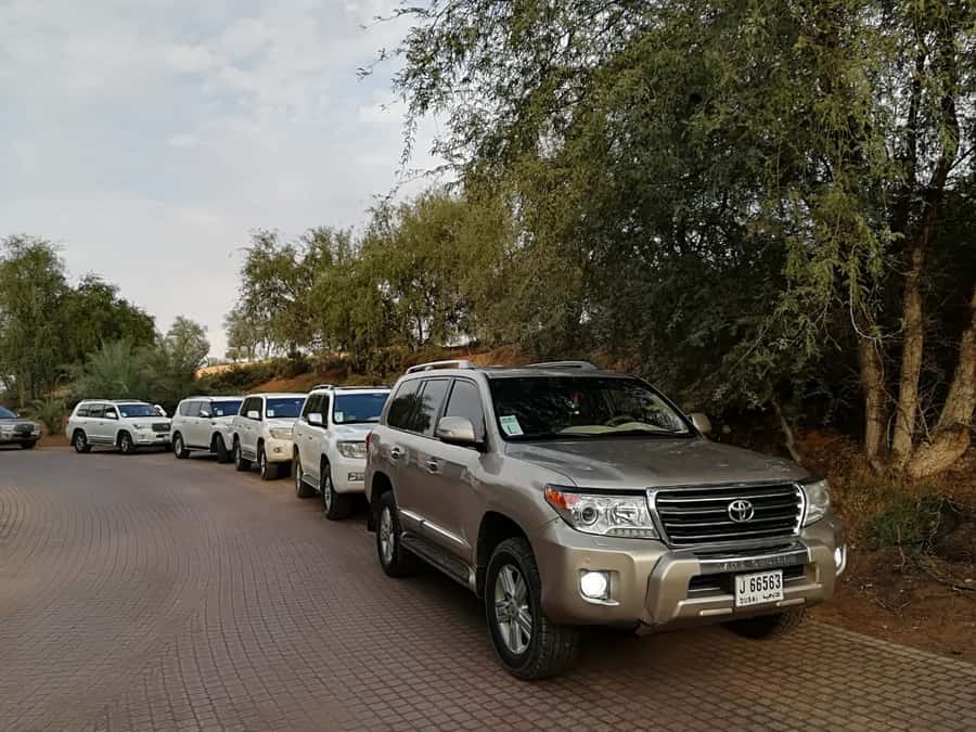 Ras Al Khaimah: Half-Day Desert Safari with Dinner - Price and What You Actually Get for Around $54