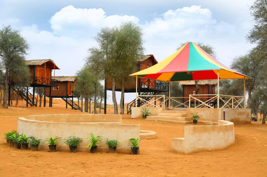 Ras Al Khaimah: Half-Day Desert Safari with Dinner - Driver Quality Matters More Than You Think