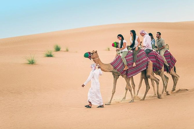 Red Dune Safari with Quad Bike Sand Boarding and Camel Ride - Camel Ride: A Short, Calm Contrast to the Speed