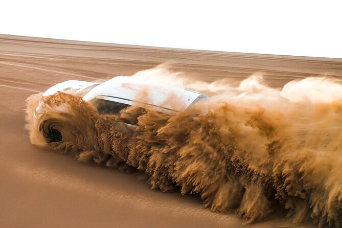 Red Dunes Desert Safari Dubai with BBQ Dinner & Sand Adventure - Timing in Dubai: 2:30 pm start and about 6 hours out