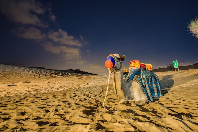 Red Dunes Desert Safari with BBQ Dinner - Key Things to Know Before You Go