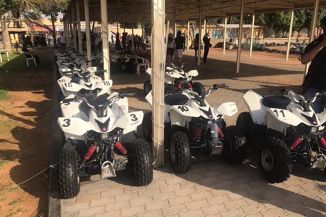 Red Dunes Desert Safari with Buffet Dinner and Sand Boarding - BBQ Dinner and the Buffet Setup: What You Should Expect