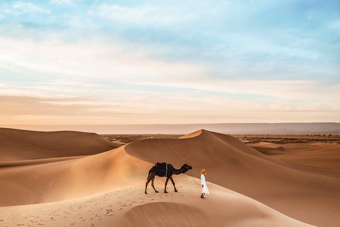 Royal Private Desert Safari - Exclusive SUV - Sand Boarding and Sunset Photography: Make the Desert Look Like It Sounds