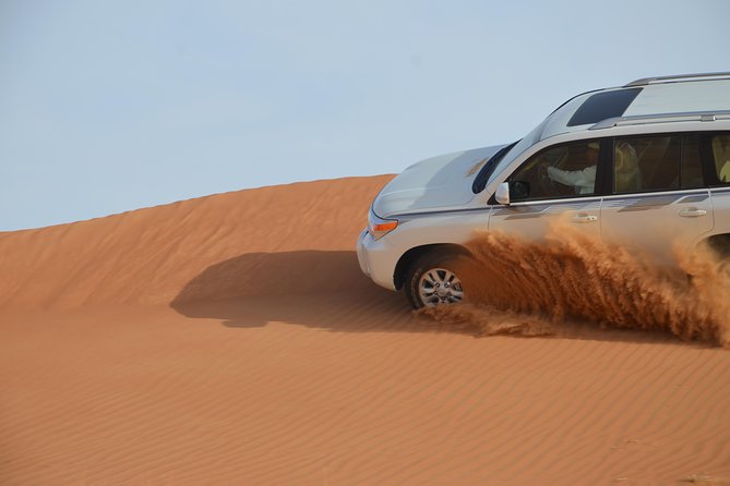 Safari Half-Day Adventure from Abu Dhabi - What You’ll Love Most About This Abu Dhabi Desert Adventure