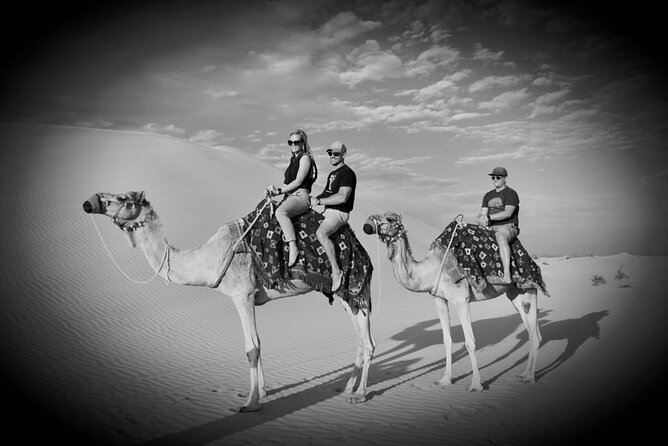 Safari Half-Day Adventure from Abu Dhabi - Sliding Down the Dunes: Dune Driving That Feels Like Work (In a Good Way)